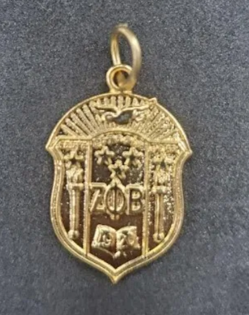 Gold Shield Charm