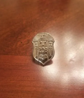 Silver Shield Lapel Pin