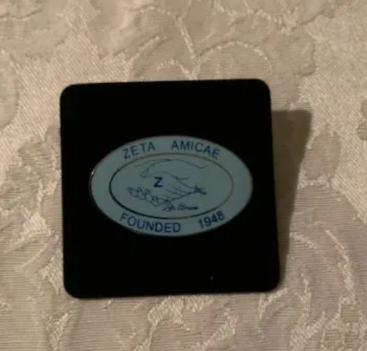 Amicae Oval Lapel Pin