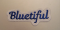 Bluetiful Patch