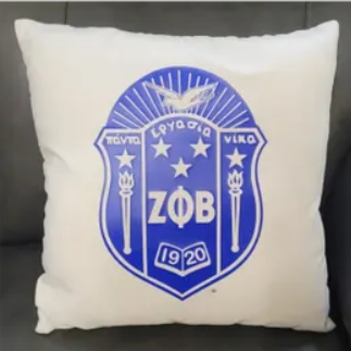 19 x 19 Pillow