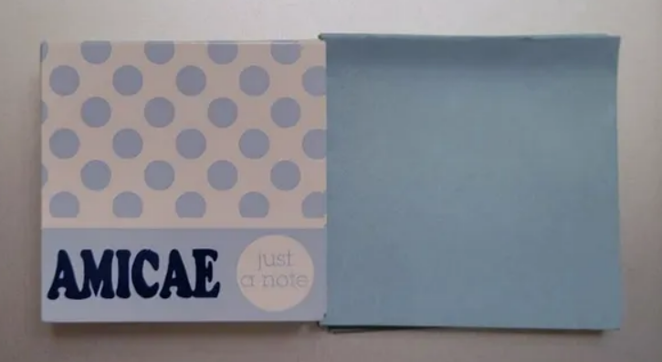 Amicae Blank Notecards