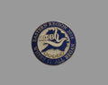 2016 Eastern Region lapel pin