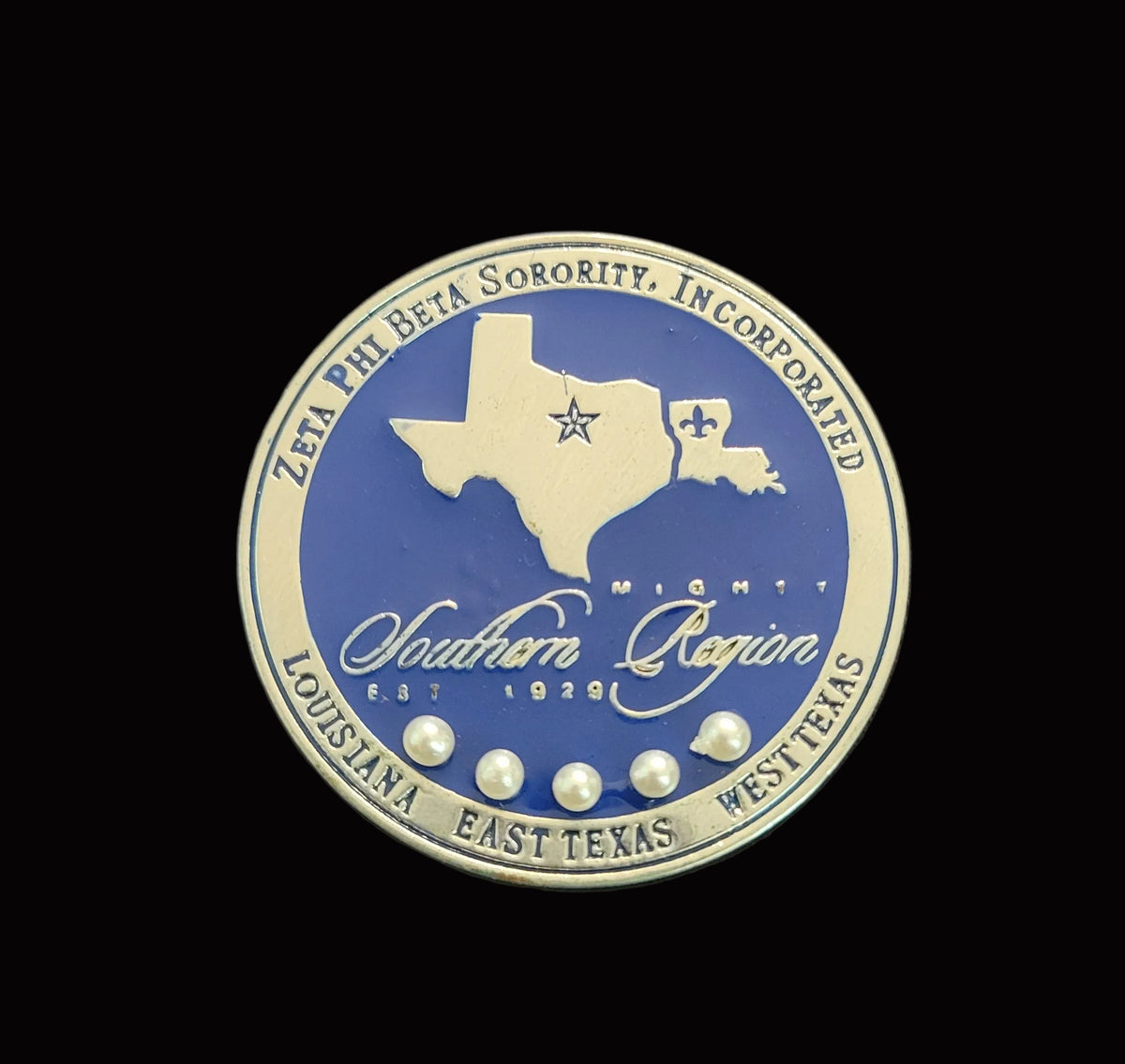 Southern Region lapel pin