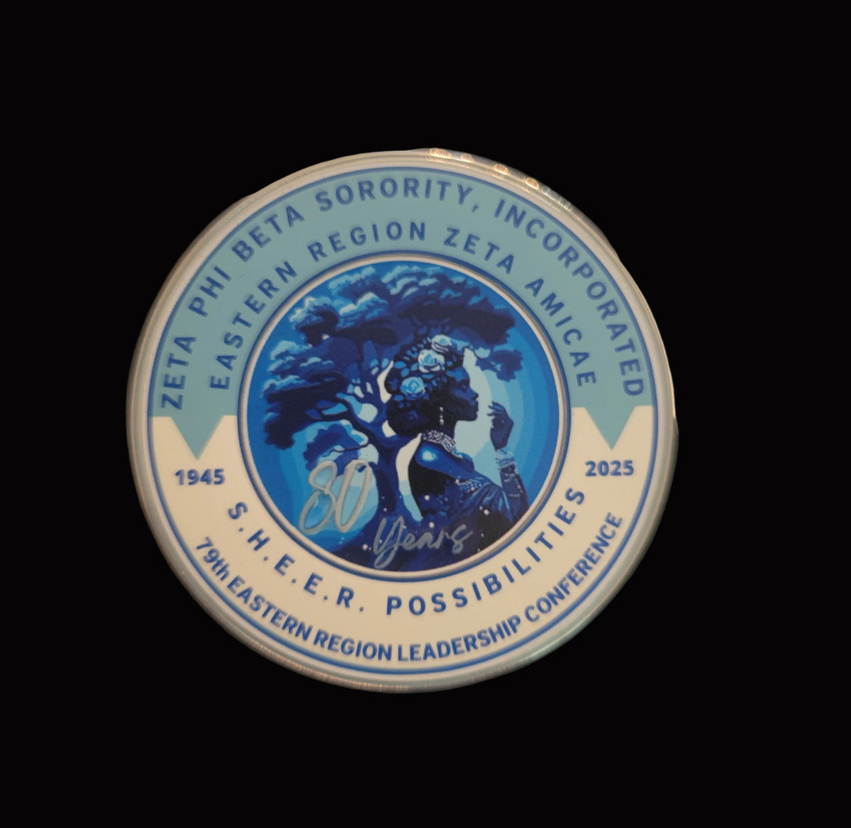 79th Eastern Region Amicae lapel pin