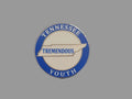 Tremendous Tennessee youth lapel pin