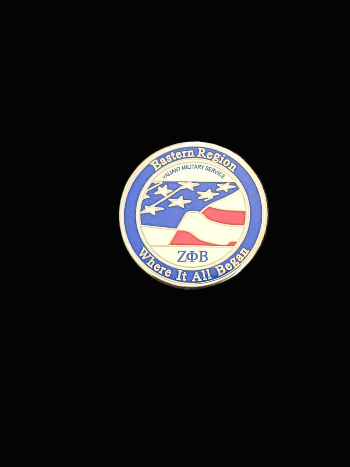 Military service Eastern Region lapel pin