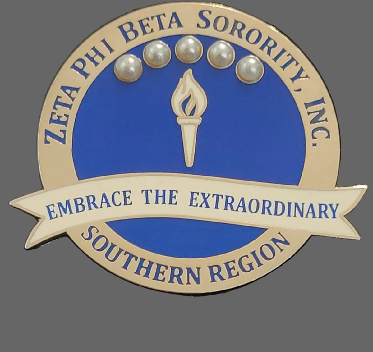Southern Region Embrace lapel pin